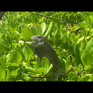 Meet your Posher, Tina